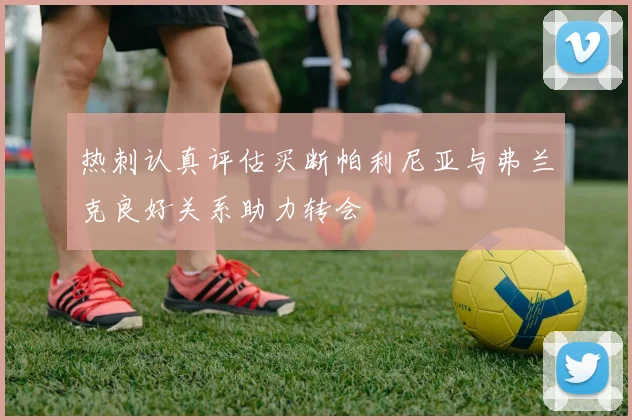 热刺认真评估买断帕利尼亚与弗兰克良好关系助力转会
