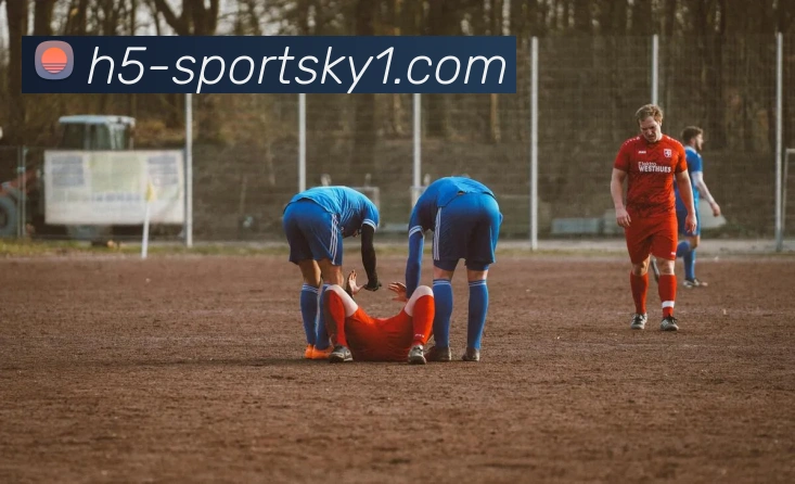 开云体育服务体系